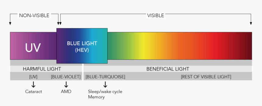 High Energy Visible Light