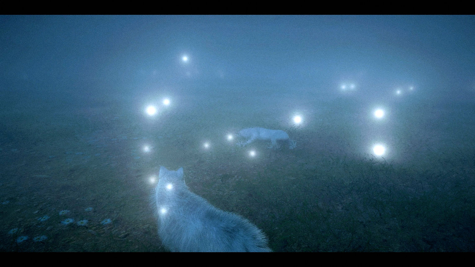 Scent_[Alan Kwan]_1.jpg