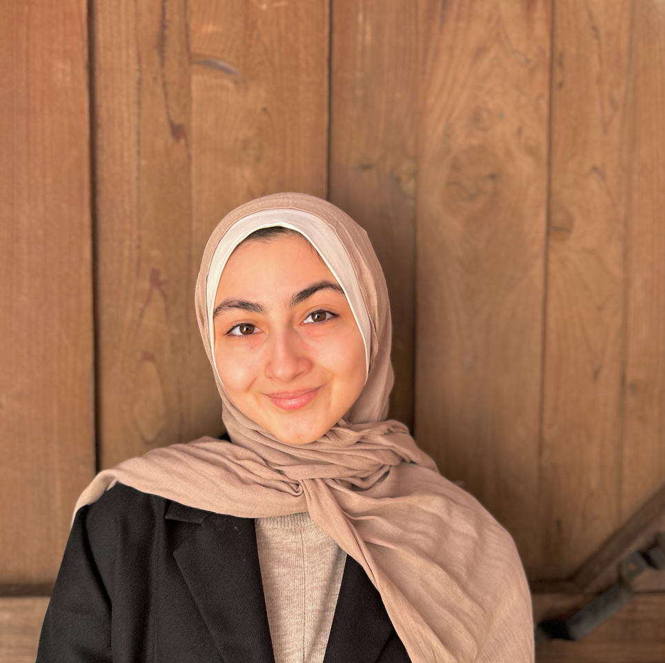 Writer: Tasneem Alhomsy