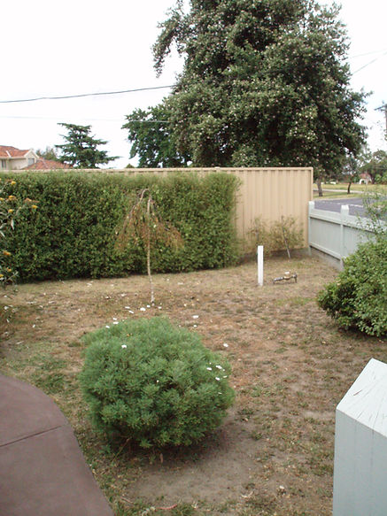 The dry, struggling 'garden'before it was redesigned.