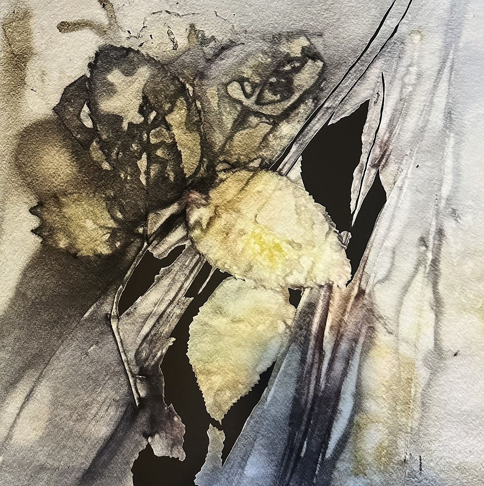 The Fleeting Series: Echoes