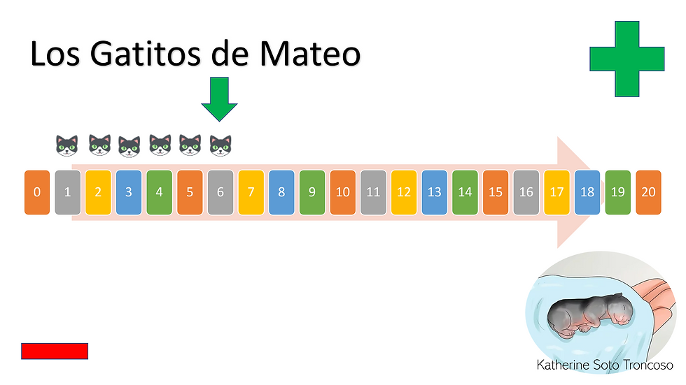 Mateo, utilizando su recta numérica, mantiene el conteo con precisión.