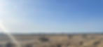 Banner.jpg