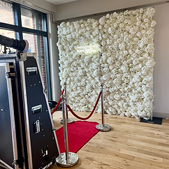 Flower Wall Backdrop