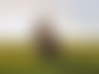 Studiebesök på Sjöviks lantbruk