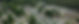 DJI_0591-2_edited.jpg