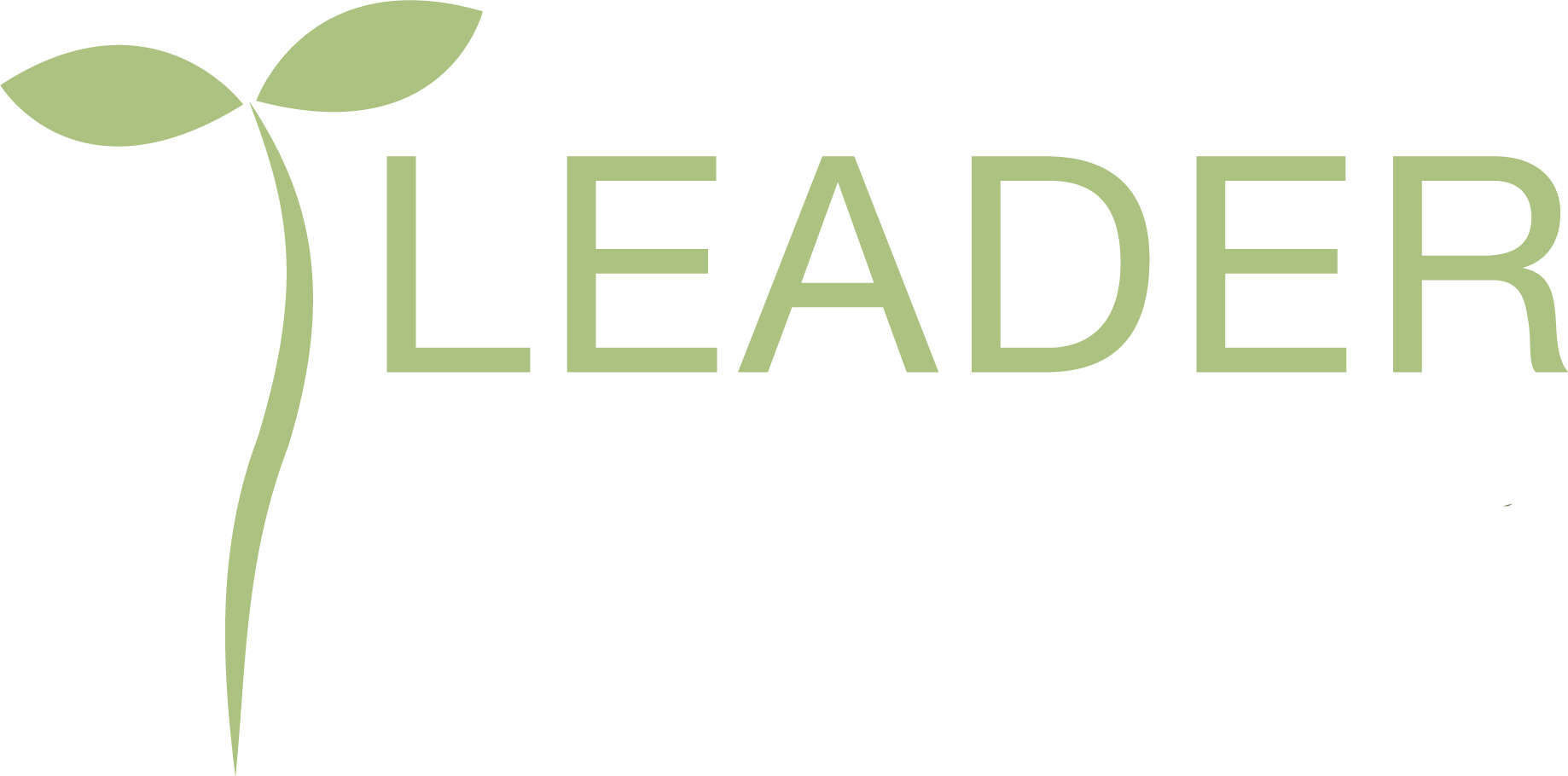 Logo Leader Östra Skaraborg Färg.png