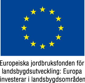 EU-flagga+Europeiska+jordbruksfonden+färg.JPG