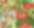 bild (13).png