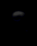 czaszki001.gif