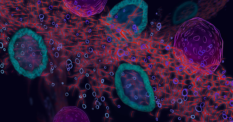 Progenitor_StaceyKalkowski2024_edited.jp