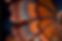 a close up of a butterfly wing with blue and orange colors on it's wings and a black back