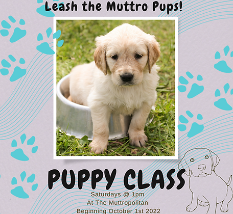Puppyclass.png