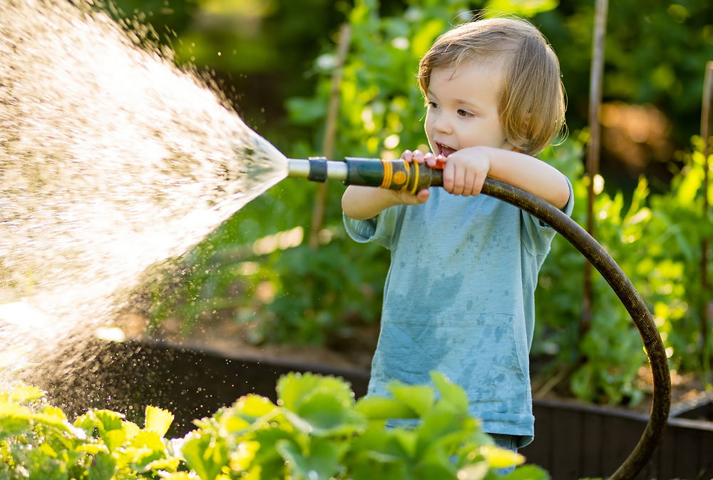 Toddler spraying water with a garden hose