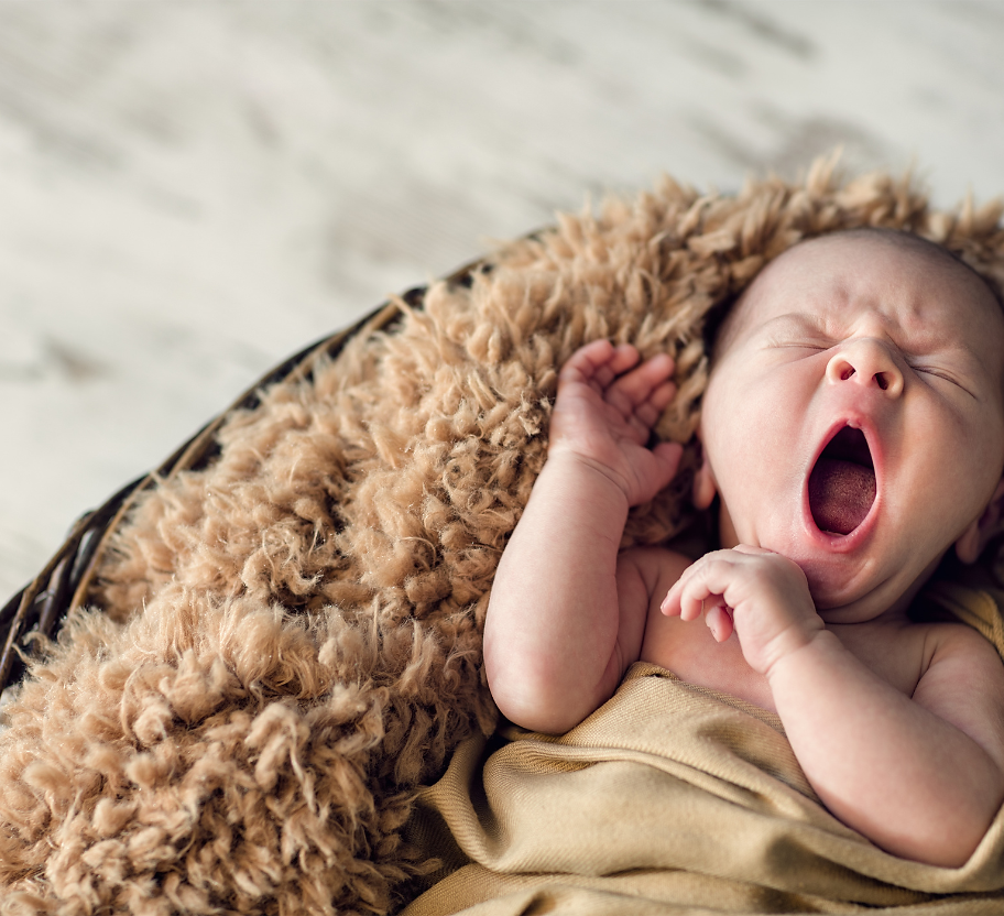 Newborn baby yawning in a fluffy basket