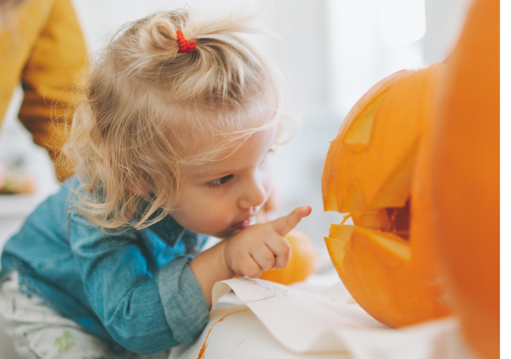 Child pointing at a carved pumpkin