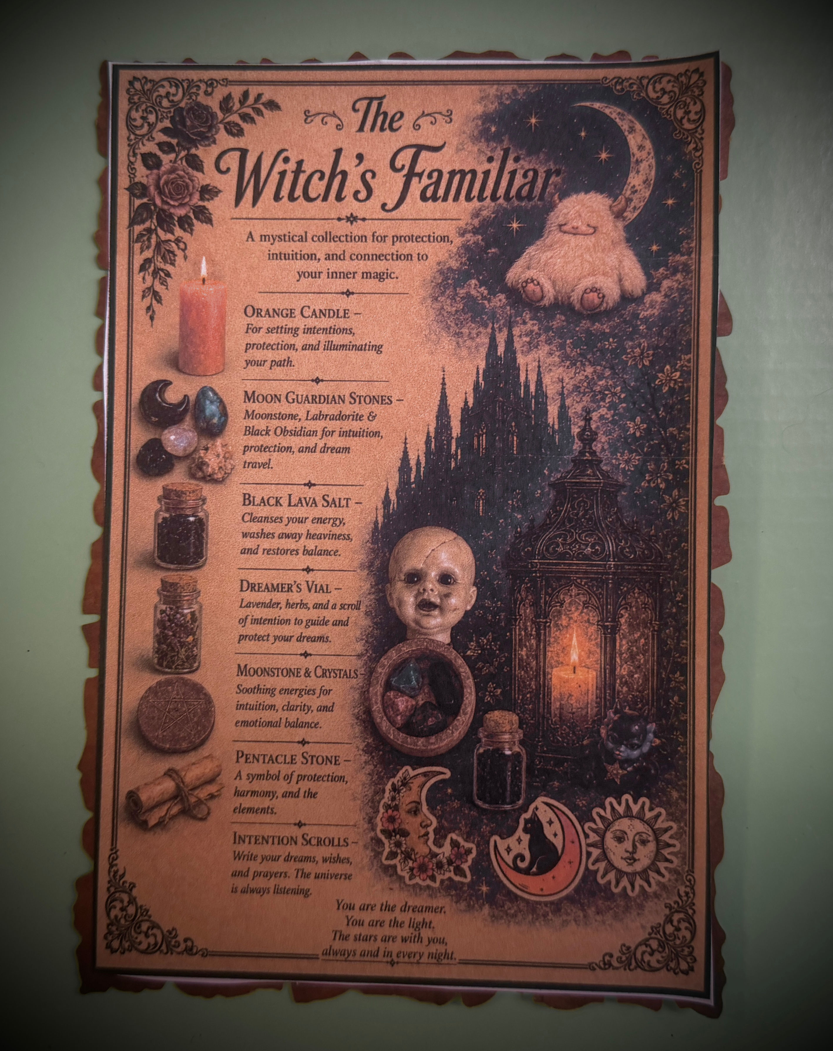 The Witches Familiar Enchanted Gift Box