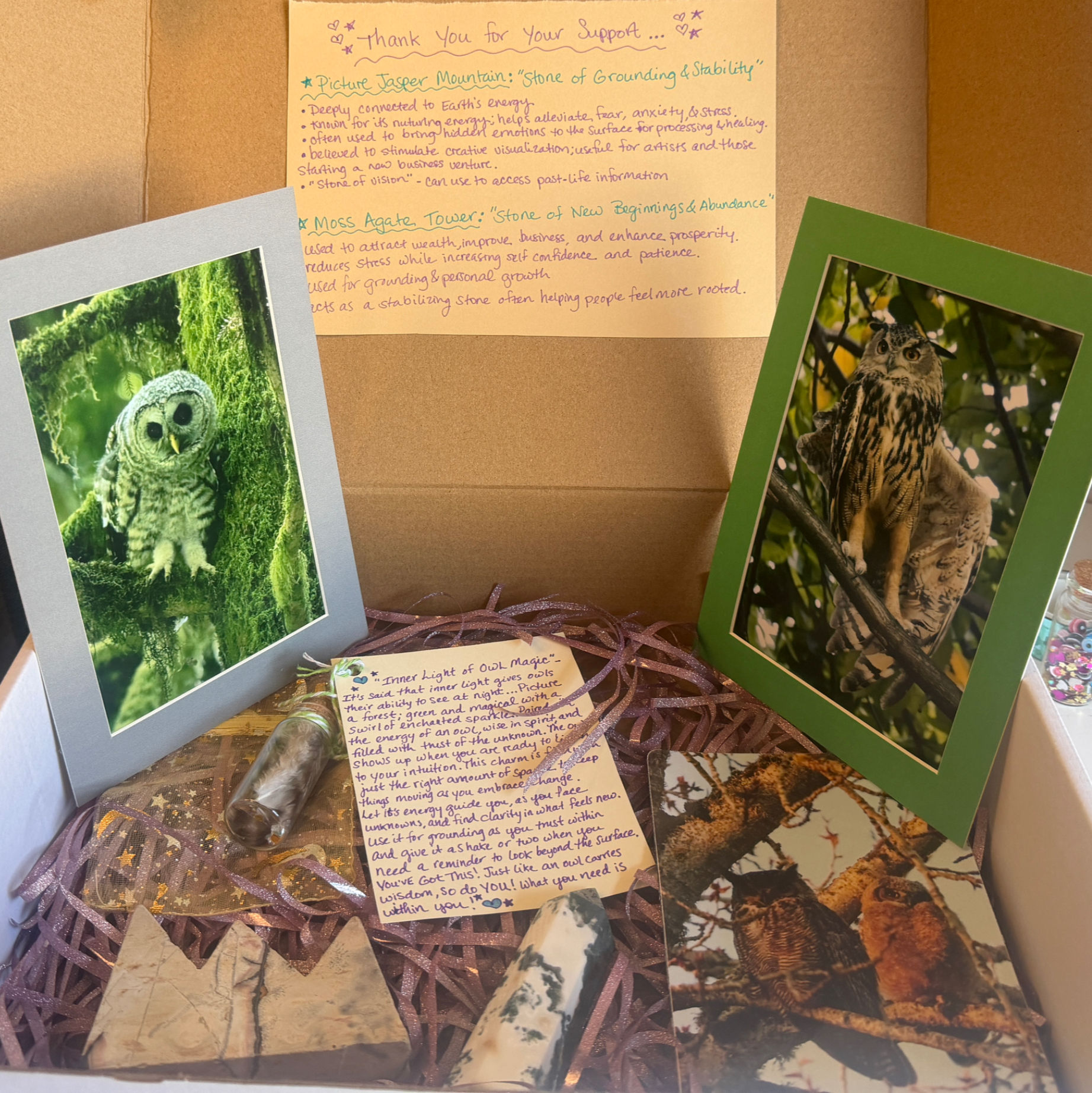 Fluff of Owl Nature Inspired Photo & Crystal Box