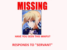 Saber Missing Since No Kings Protest