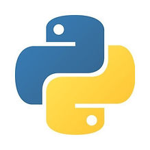python.jpeg