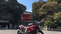 Real Ride setting test again