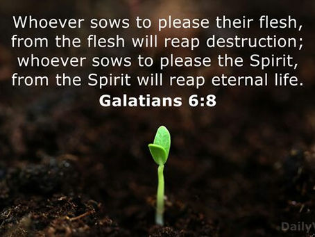 Galatians 6:8