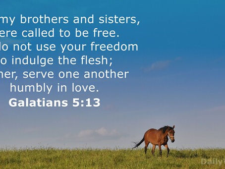Galatians 5:13