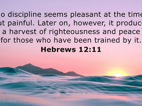Hebrews 12:11