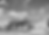 Catalogue PRO - LTN CENTRE.png