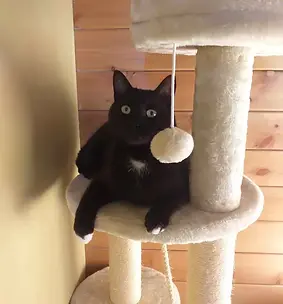 20250106_134920.webp_ex=677d244f&is=677bd2cf&hm=190f4f0e32e7397371b3155b313ecc6326141c49e4