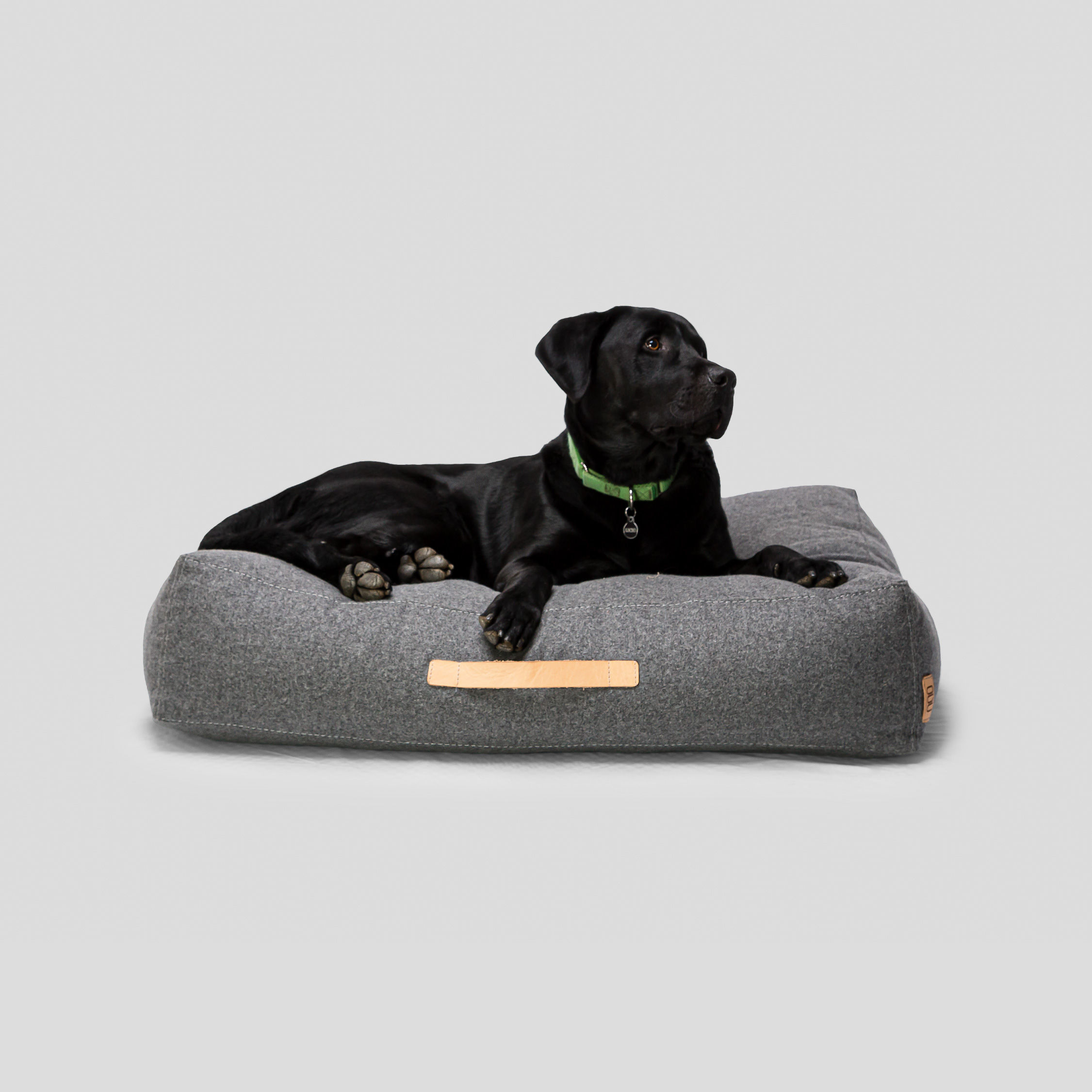 Piero Puff Grande Oxford