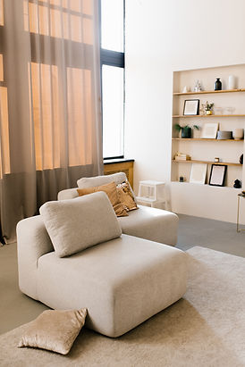 modern-living-room-interior-upholstered-furniture-2022-12-01-18-04-37-utc.jpg