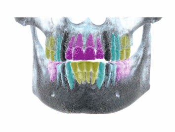 dental-implant-clinic-in-Lancashire.gif