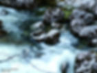 duhamel watershed, duhamel watershed stewardship