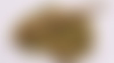 סמים בצבא - מנסיונו של עורך דין צבאי