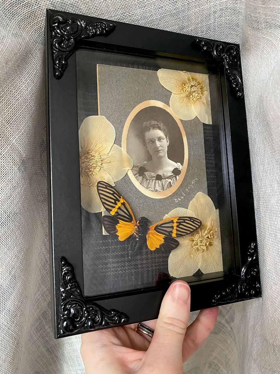 Thumbnail: Antique Cabinet Card Frame