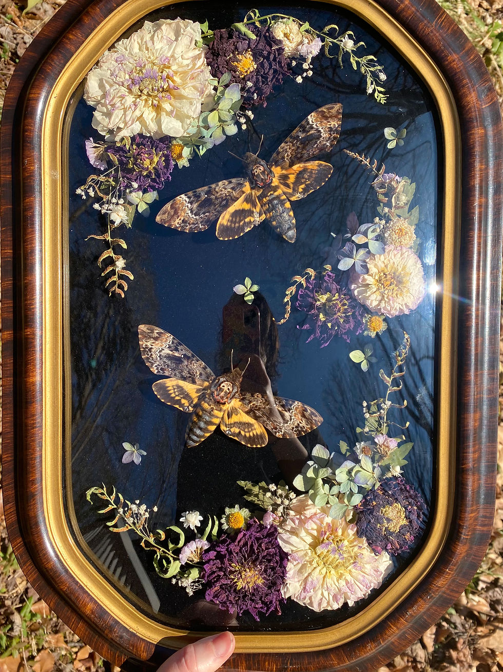 Thumbnail: ‘Final Witness’ Frame