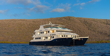cormorant-cruise-8.jpg