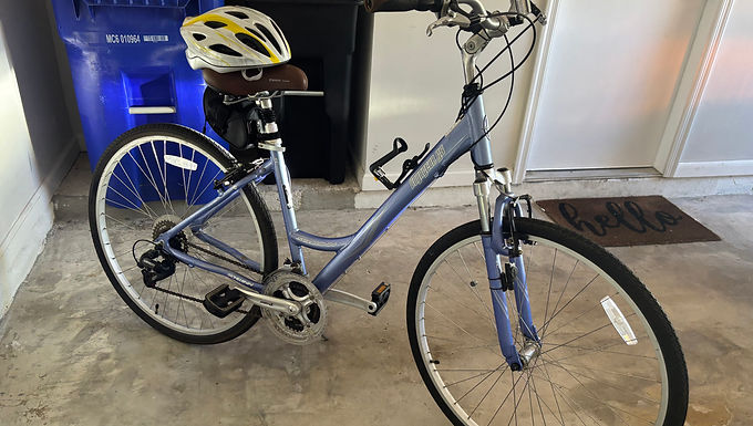 Ladies Schwinn Bicycle