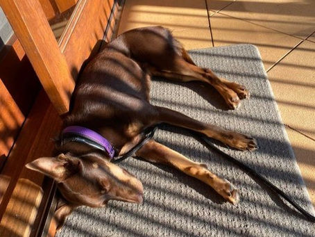 The Power of Slowing Down