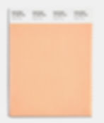 PANTONE Peach Fuzz 2024