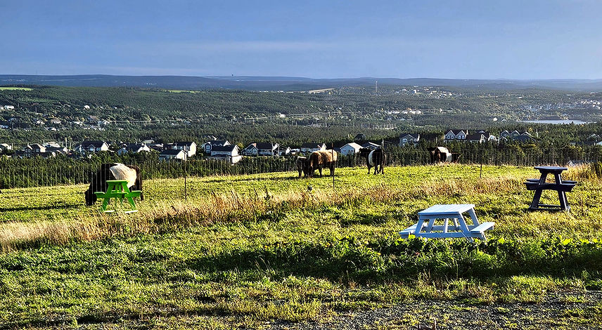 Windy Heights Farm landscape view