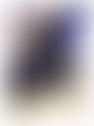 Service Dogs & Air Travel