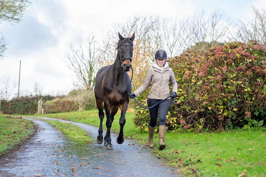 Rosevean Veterinary Practice - Equine  (Web) 045.jpg