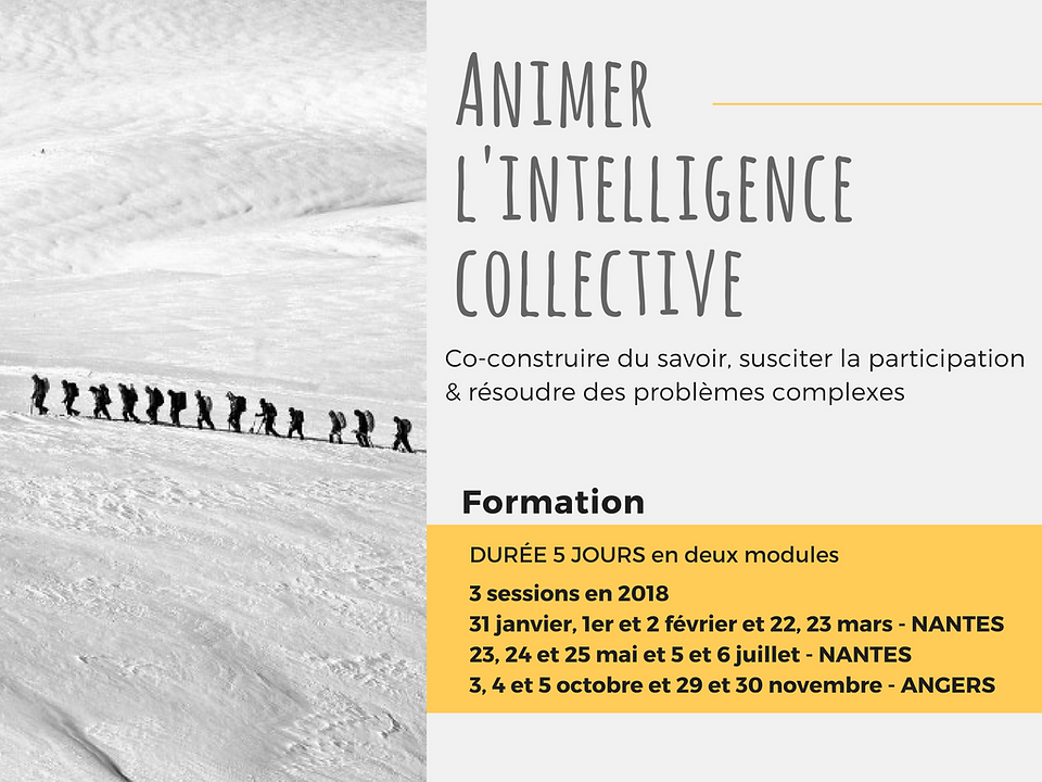 animer ic