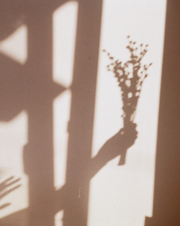 tanya-trofymchuk-gzXhH-RiydU-unsplash_ed