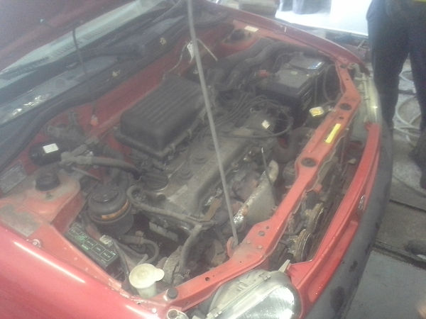 20190327_090439.jpg