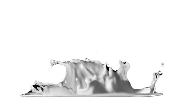 gwalher the vegan tiger project