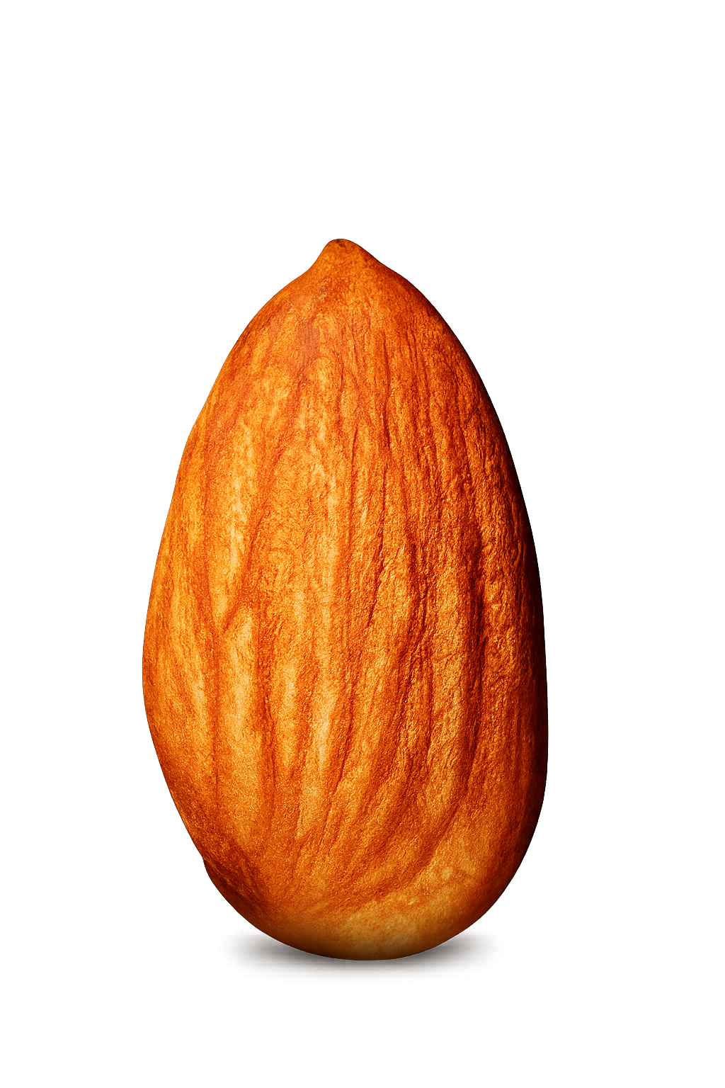 OATS BABA INC ALMOND.png