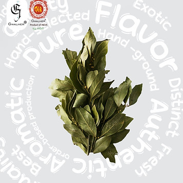 Gwalher Bay leaf